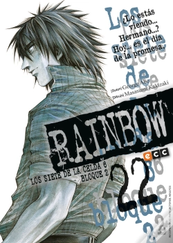 Capa do artigo Rainbow Núm. 22
