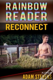 Capa do artigo Rainbow Reader Brown: Reconnect
