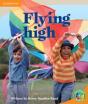Rainbow Reading Level 4 - Festivals: Flying High Box B - Preview