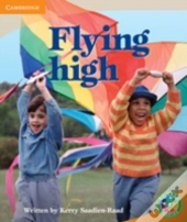 Rainbow Reading Level 4 - Festivals: Flying High Box B