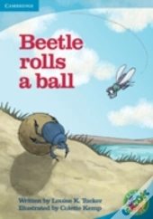 Rainbow Reading Level 4 - Life And Living: Beetle Rolls A Ball Box C