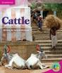 Rainbow Reading Level 4 - Life And Living: Cattle Box C - Preview