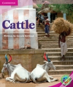 Capa do artigo Rainbow Reading Level 4 - Life And Living: Cattle Box C
