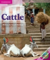 Capa do artigo Rainbow Reading Level 4 - Life And Living: Cattle Box C