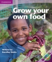 Rainbow Reading Level 4 - Life And Living: Grow Your Own Food Box C