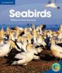 Rainbow Reading Level 4 - Life And Living: Seabirds Box C - Preview