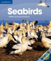 Rainbow Reading Level 4 - Life And Living: Seabirds Box C