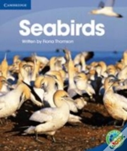 Capa do artigo Rainbow Reading Level 4 - Life And Living: Seabirds Box C