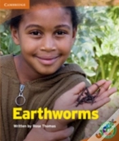 Capa do artigo Rainbow Reading Level 4 - Rubbish: Earthworms Box E