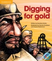Capa do artigo Rainbow Reading Level 5 - Landscape: Digging For Gold Box D