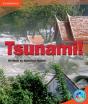 Rainbow Reading Level 5 - Landscape: Tsunami! Box D - Preview