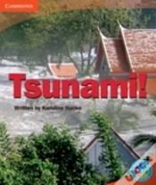 Capa do artigo Rainbow Reading Level 5 - Landscape: Tsunami! Box D