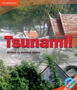 Capa do artigo Rainbow Reading Level 5 - Landscape: Tsunami! Box D