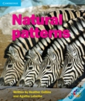 Capa do artigo Rainbow Reading Level 5 - Pattern: Patterns In Nature Box B