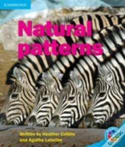 Capa do artigo Rainbow Reading Level 5 - Pattern: Patterns In Nature Box B