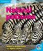Rainbow Reading Level 5 - Pattern: Patterns In Nature Box B - Preview
