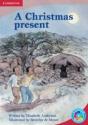 Rainbow Reading Level 5 - What'S The Plot? A Christmas Present Box A - Preview