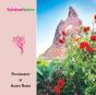 Rainbownature - Preview