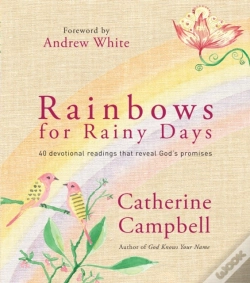 Capa do artigo Rainbows For Rainy Days