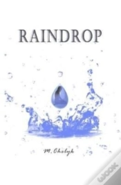 Capa do artigo Raindrop