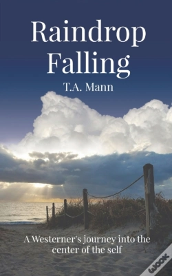 Capa do artigo Raindrop Falling
