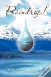 Capa do artigo Raindrop!