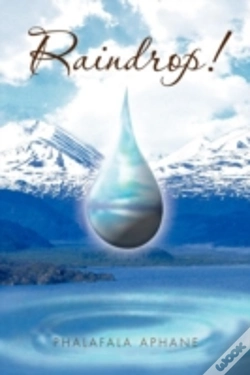 Capa do artigo Raindrop!