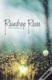 Capa do artigo Raindrop Races