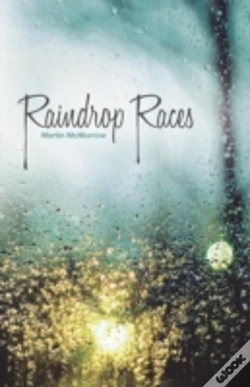 Capa do artigo Raindrop Races