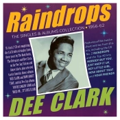 Capa do artigo Raindrops - CD