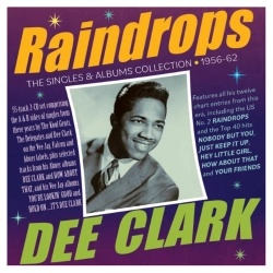 Capa do artigo Raindrops - CD