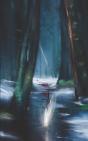 Rainfall - Preview