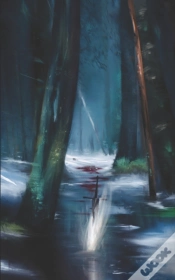 Capa do artigo Rainfall