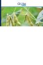 Rainfall Variability And Risks Of Drough - Preview