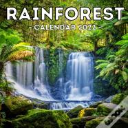 Rainforest Calendar 2022