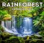 Rainforest Calendar 2022 - Preview