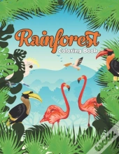 Rainforest Coloring Book