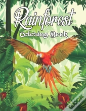 Rainforest Coloring Book
