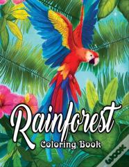 Rainforest Coloring Book