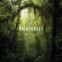 Rainforest - Preview