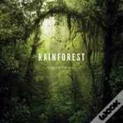 Capa do artigo Rainforest