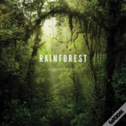 Capa do artigo Rainforest