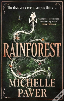Capa do artigo Rainforest