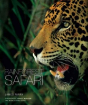 Rainforest Safari - Preview