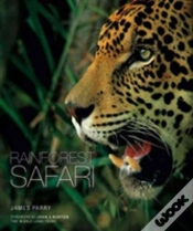 Capa do artigo Rainforest Safari