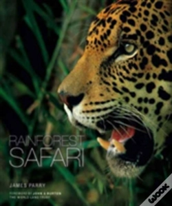 Capa do artigo Rainforest Safari