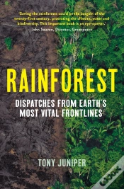 Capa do artigo Rainforest