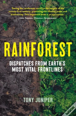 Capa do artigo Rainforest