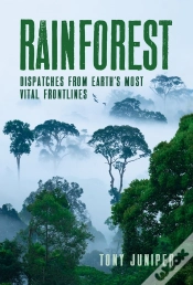 Capa do artigo Rainforest