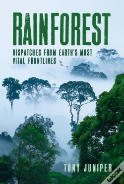 Capa do artigo Rainforest